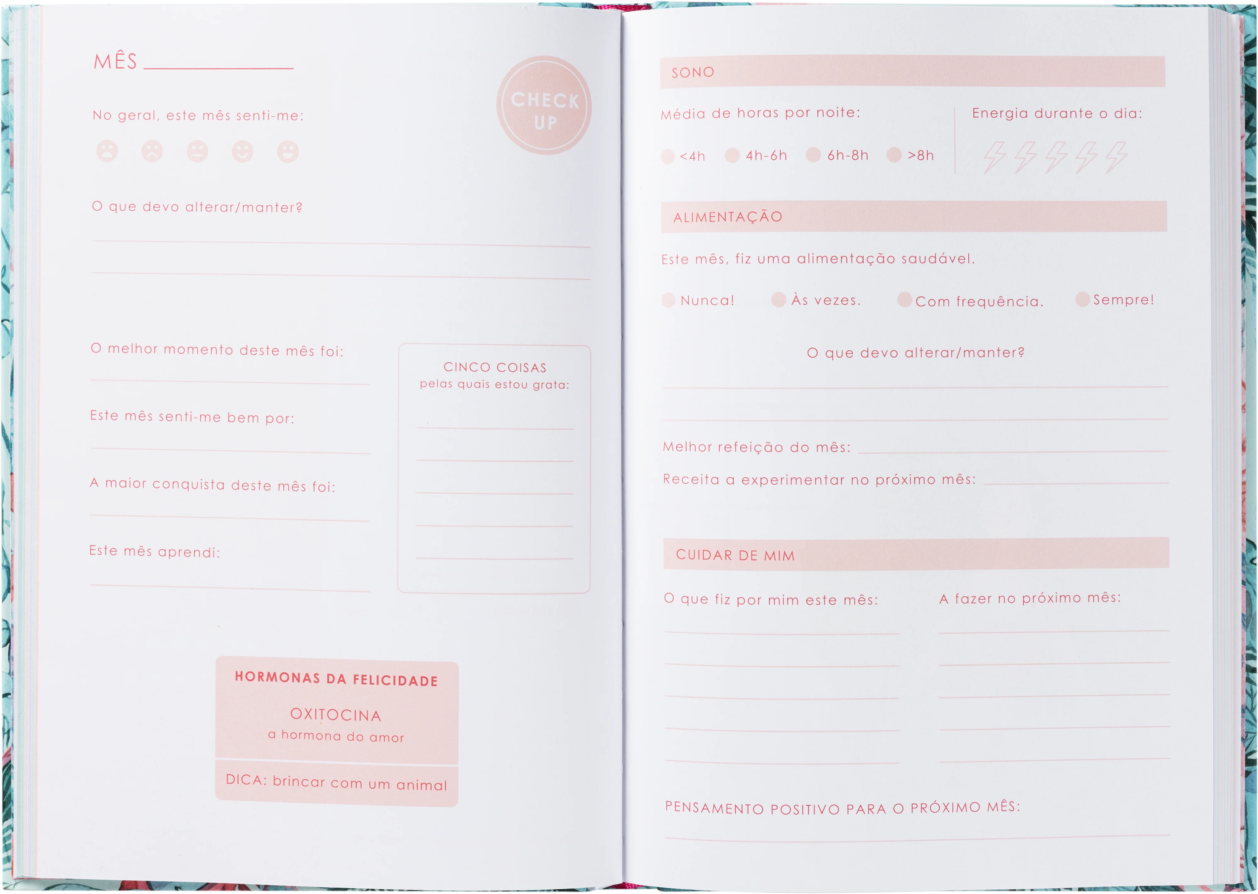 Agenda - Um ano para mim - Image 2